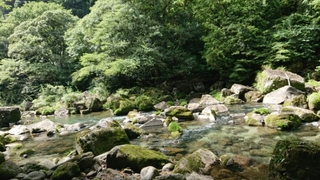 20180815190847002.jpg