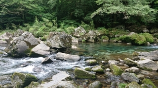 20180815190942907.jpg